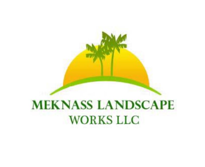Professional palm tree maintenance service in Dubai UAE by MEKNASS Landscape